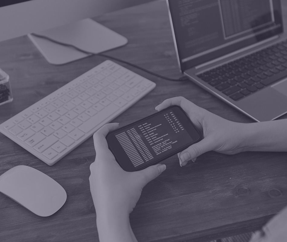 Surviving in the Tech World: The Significance of Minimum Viable Product Experimentation